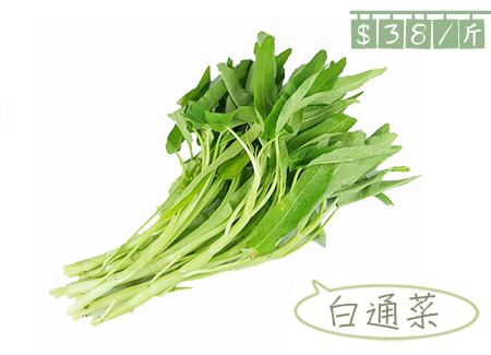 白通菜,水通菜,紫背菜(第10页)_大山谷图库